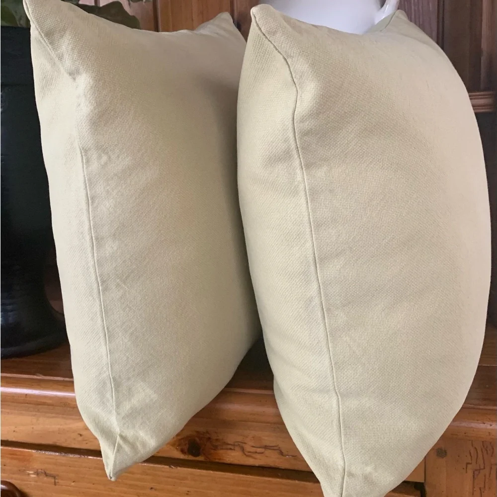 Pottery Barn Light Green Pillow Covers 18” Inserts not included